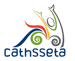 CATHSSETA Internship Opportunities 2025