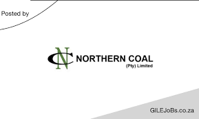 Northern Coal Internships 2025