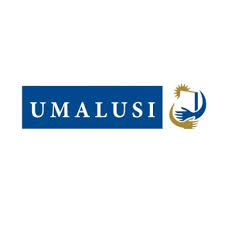 Umalusi: Information and Communication Technology Developer