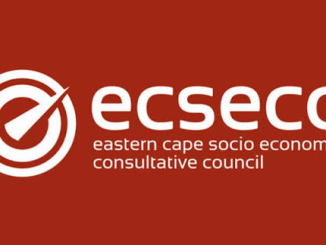 Town Planner at Eastern Cape Socio-Economic Consultative Council 
